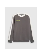 Pánská mikina s kapucí 4F 4FRAW25TSWSM2457-23S bez svetru Pánská mikina s kapucí 4F 4FRAW25TSWSM2457-23S bez svetru