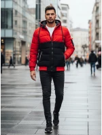 Pánská zimní bunda s kapucí model 21993653 - Dstreet Pánská zimní bunda s kapucí model 21993653 - Dstreet