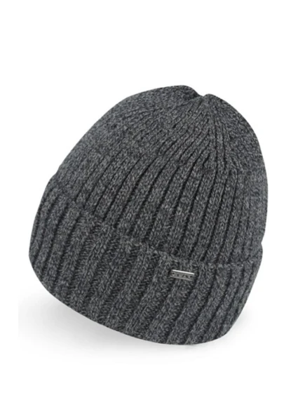 CAP model 21776180 - AJS