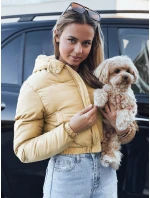 Dámská krátká zimní bunda s kapucí žlutá FashionStreet TY5360