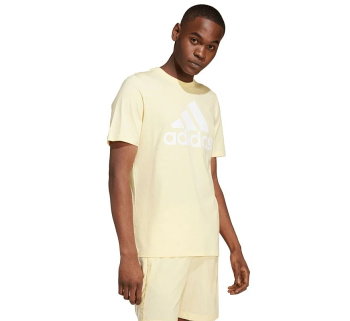 Adidas Essentials Single Jersey Big Logo Tee M IX0135 pánské