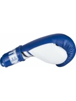 Boxerské rukavice model 21348279 10 oz červené - TOP TEN