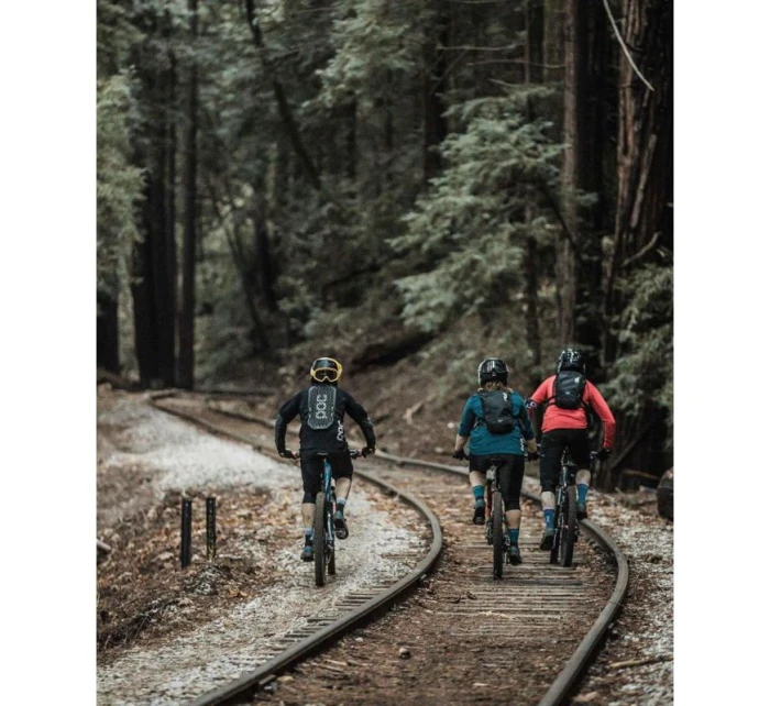 Chránič hrudníku a zad POC VPD