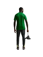 NIke Dri-Fit Park VIII pánské tričko zelené HV8173 302 pánské