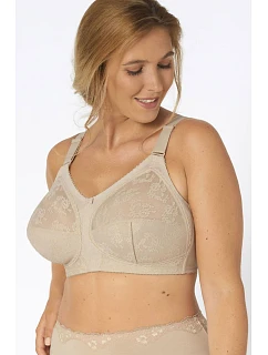 Soft model 229866 Triumph