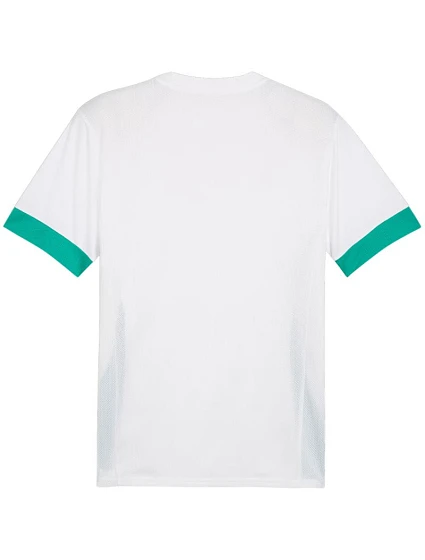 Pánský dres teamGoal Jersey white and green 15 pánské model 21392051 - Puma