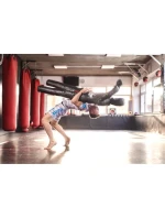 tréninková 165 cm 28 kg model 21438034 - DBX Bushido tréninková 165 cm 28 kg model 21438034 - DBX Bushido