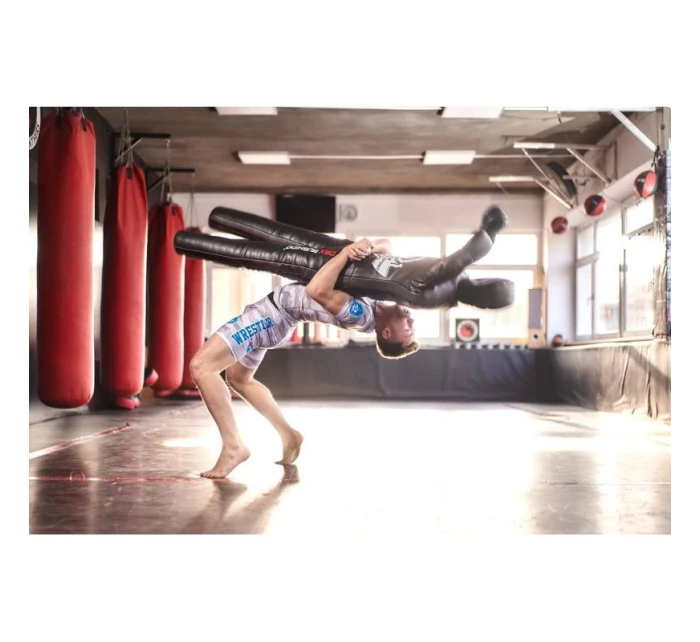 tréninková 165 cm 28 kg model 21438034 - DBX Bushido tréninková 165 cm 28 kg model 21438034 - DBX Bushido