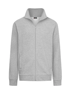 Pánská mikina 40. sports grey model 22516941 - Promodoro