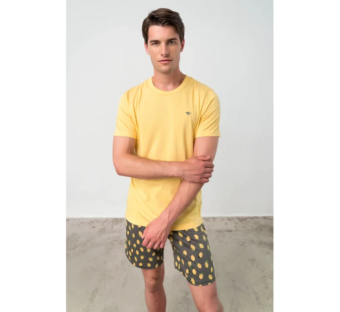 Dvoudílné pánské pyžamo model 18363656 - Vamp