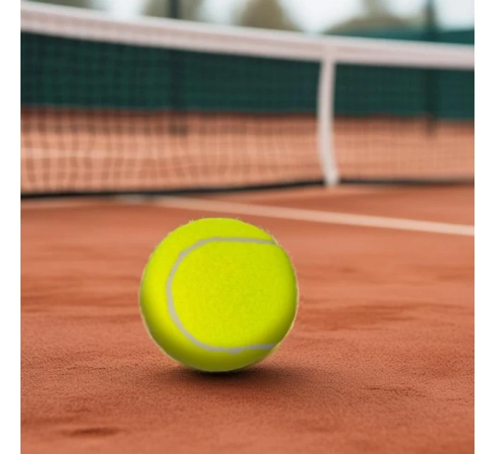 model 21825964 - Enero