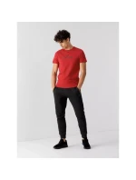 Tričko 4F M 4FSS23TTSHM539-62S pánské