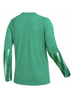 Koszulka damska Nike DriFit Park V Stadium zielona model 22001935 - EB FIT