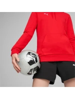 Mikina Puma Team Goal Casuals Hoody W 658621 01