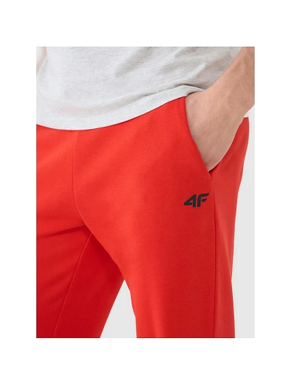 Spodnie dresowe męskie model 22128104 - 4F