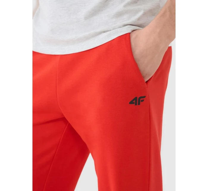 Spodnie dresowe męskie model 21460755 - 4F