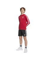Liverpool FC Hoody Kids HD mikina model 21420618 - ADIDAS Liverpool FC Hoody Kids HD mikina model 21420618 - ADIDAS