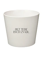BEZ TEBE BYCH ZVADL - malý květináč 