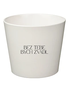 BEZ TEBE BYCH ZVADL - malý květináč