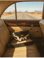 Dámská ikonická crossbody ledvinka Vuch Tricia West