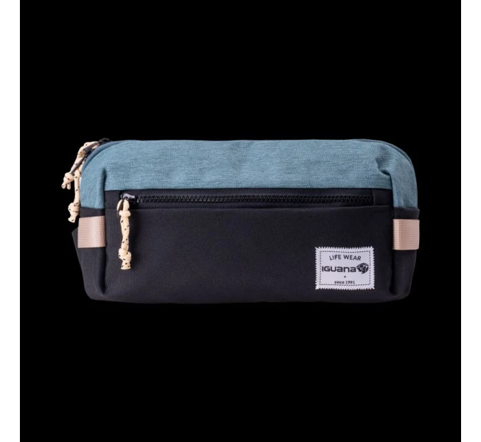 model 21355968 - Iguana