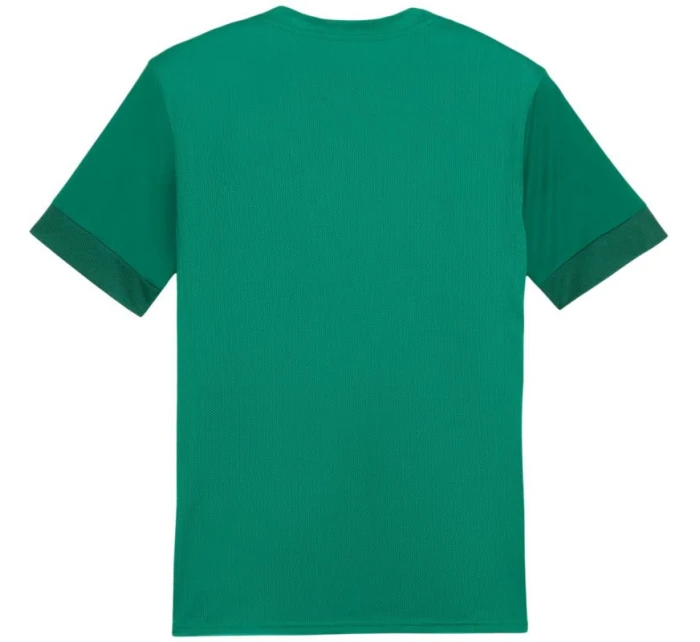 teamGoal Jersey M 05 pánské model 21283899 - Puma teamGoal Jersey M 05 pánské model 21283899 - Puma