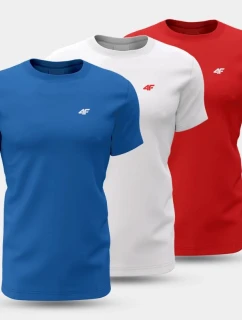 Pánské tričko (SET 3 triček) 4F 4FWSS25TTSHM3097-90S pánské