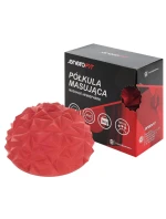 FIT model 21824945 - Enero