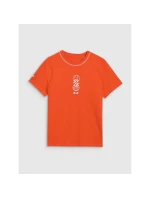 Pánské tričko s potiskem 4F 4FRSS25TTSHM3092-70S pánské