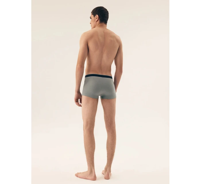 Pánské boxerky 5 pack model 20947103 - Henderson Pánské boxerky 5 pack model 20947103 - Henderson