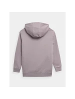 Dívčí nepruhovaná mikina s kapucí 4F Junior Dívčí nepruhovaná mikina s kapucí 4F Junior