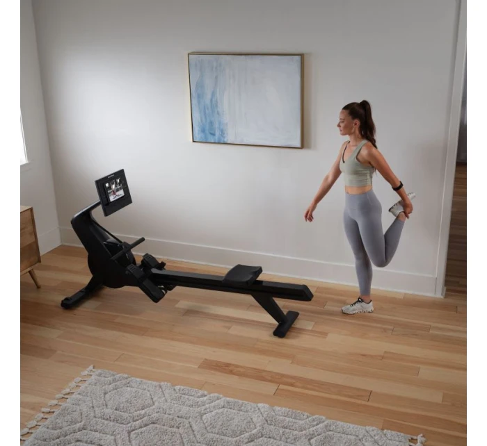 NORDICTRACK MAGNETICKÉ VESLO RW300