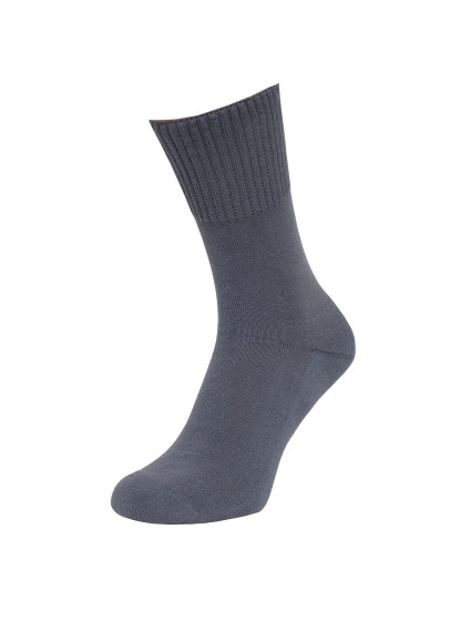 Pánské ponožky  Froté model 7463051 - Regina Socks