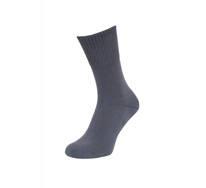 Pánské ponožky  Froté model 7463051 - Regina Socks