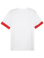 Puma teamGoal Matchday Jersey M 705747 11 pánské