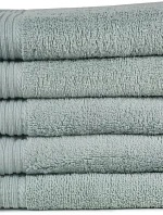 The One Towelling Guest 30x50 Ručník pro hosty 48.1003 silver grey