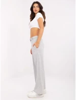 Spodnie DHJ SP model 20863027 szary - FPrice