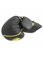 Boxerské rukavice RPU-BLACK 012325-0210