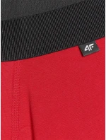 Pánské boxerky 4F (2pack)
