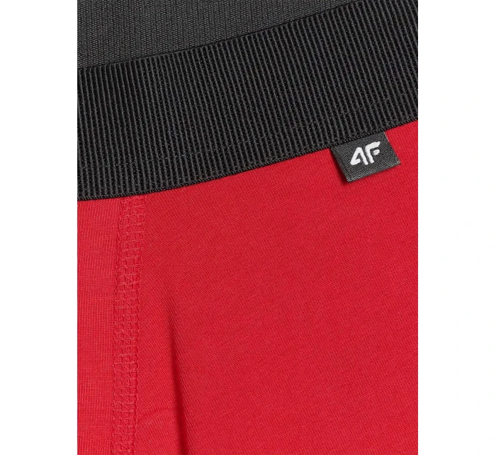 Pánské boxerky 4F (2pack)