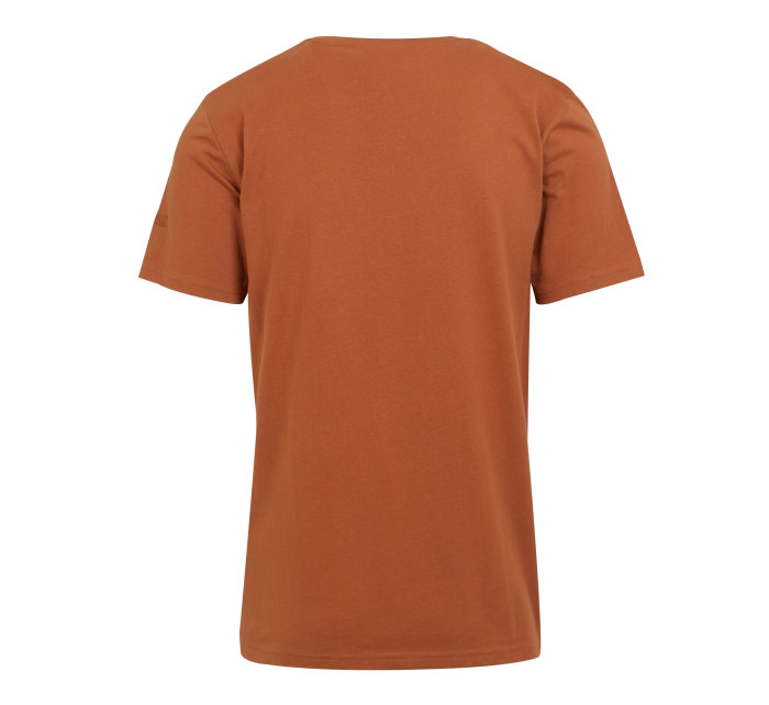 Pánské tričko Cline VIII RMT284-K13 hnědé - Regatta