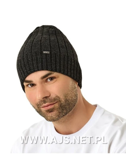 Pánská čepice model 21779004 - AJS