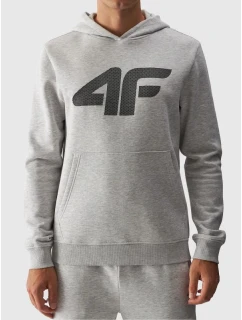 Pánská mikina  s kapucí bez  pánské model 21432204 - 4F