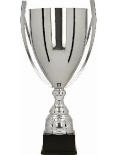 Stříbrný kovový pohár model 21827262