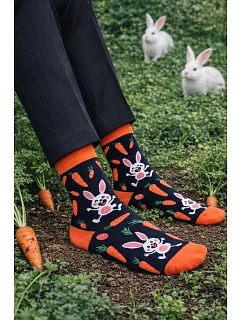 Pánské ponožky and model 22044268 - Milena