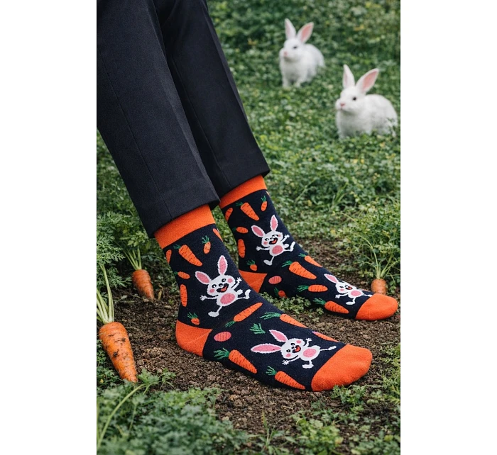 Pánské ponožky and model 22044268 - Milena