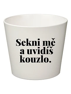 SEKNI MĚ A UVIDÍŠ KOUZLO. - malý květináč 