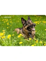 Esperanza Foto Mix podložka pod myš EA133