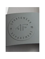 Pánské žabky 4F 4FRSS26FSLIM051-20S