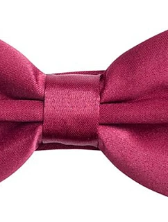 Korntex KXBTIE Motýlek 76.BTIE dark red